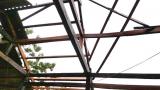 Lốc xoáy khiến 46 nhà dân tốc mái, sập đổ ở Yên Bái
