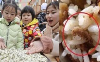 Được cô giáo mầm non gửi ảnh bữa trưa của con, nào ngờ bố mẹ nổi giận đùng đùng khi thấy thứ này trong thực đơn