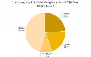 Hàng trăm nghìn tấn hàng từ Malaysia vừa đổ bộ Việt Nam: Là nhiên liệu quan trọng không kém xăng dầu, nước ta chi hơn nửa tỷ USD gom hàng